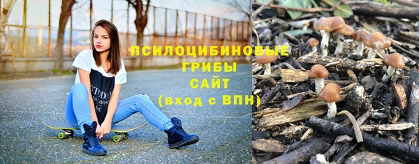 мет Медвежьегорск