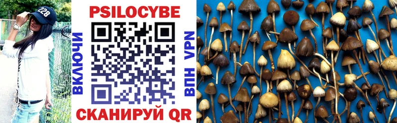 Галлюциногенные грибы Psilocybine cubensis  как найти закладки  Власиха 
